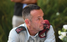 הרצי הלוי (צילום: פלאש 90)