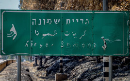 נזקי השריפות בצפון (צילום: דוד כהן פלאש 90 )