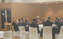 הקהילה היהודית בדיסלדורף (צילום: ג'וש ארונסון)