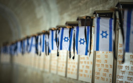 דגלים על קברי חיילים בהר הרצל (צילום: יונתן זינדל, פלאש 90)
