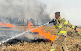 השריפות בצפון (צילום: כבאות והצלה מחוז צפון)