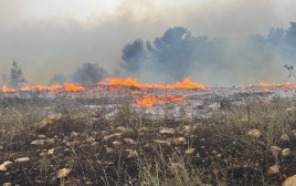 השריפות במחוז החוף, אזור חדרה (צילום: כבאות והצלה מחוז חוף)